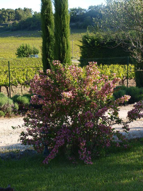 Jardin D'Antan Bed & Breakfast Ansouis Exterior photo